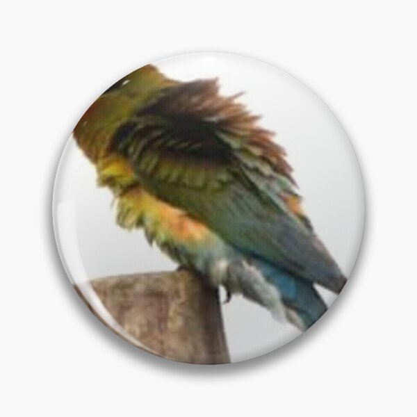 Item preview, Bee-eater designed and sold by suvashbarman.