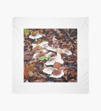 forest floor with mushrooms Tuch