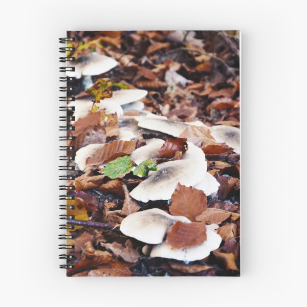 Item preview, forest floor with mushrooms designed and sold by Michael Hofmann.