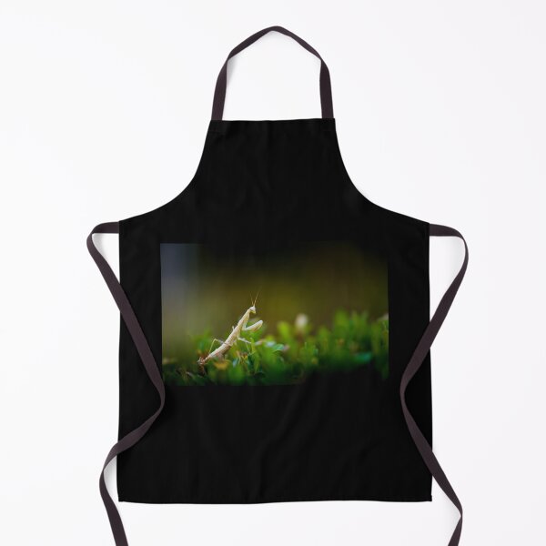 Item preview, Praying mantis designed and sold by Gaël FONTAINE.