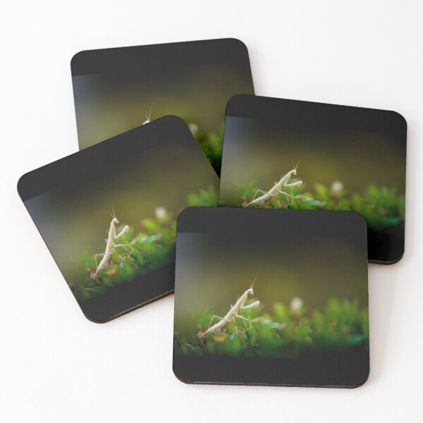 Item preview, Praying mantis designed and sold by Gaël FONTAINE.