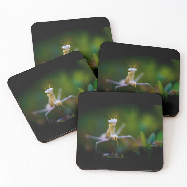 Item preview, Praying mantis designed and sold by Gaël FONTAINE.
