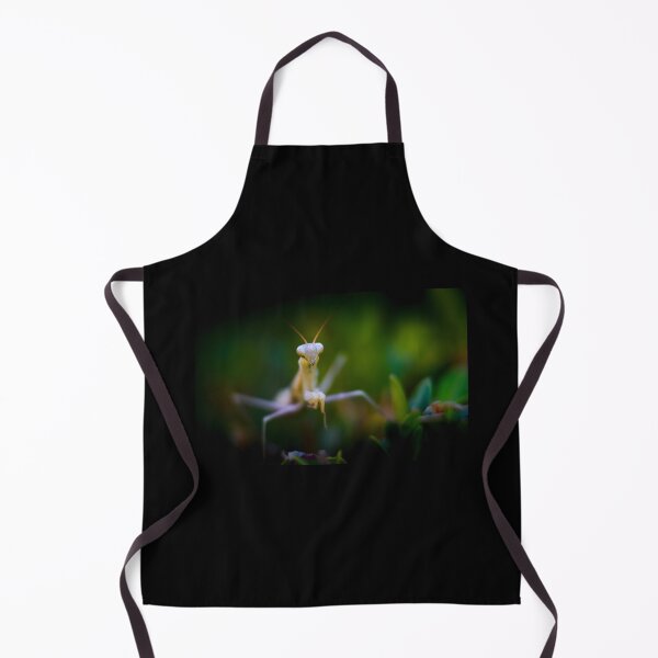 Item preview, Praying mantis designed and sold by Gaël FONTAINE.