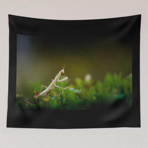 Item preview, Praying mantis designed and sold by Gaël FONTAINE.