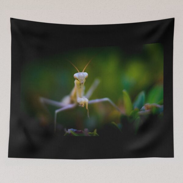 Item preview, Praying mantis designed and sold by Gaël FONTAINE.