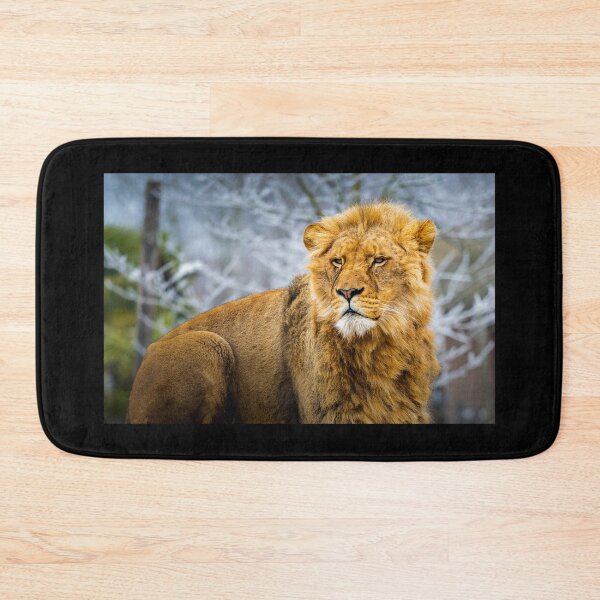Item preview, The gaze of the lion designed and sold by Gaël FONTAINE.