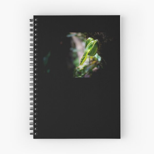 Item preview, The green python designed and sold by Gaël FONTAINE.