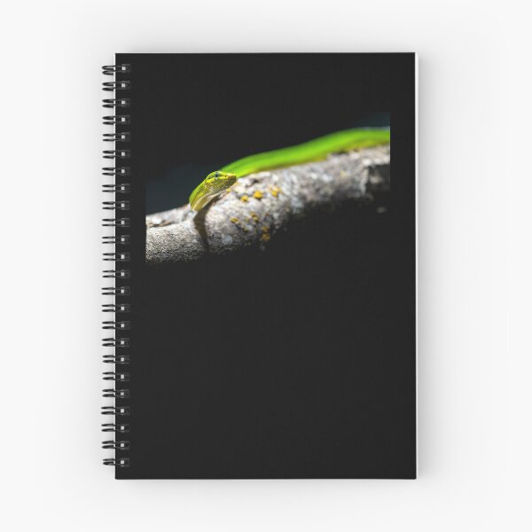 Item preview, The green python designed and sold by Gaël FONTAINE.