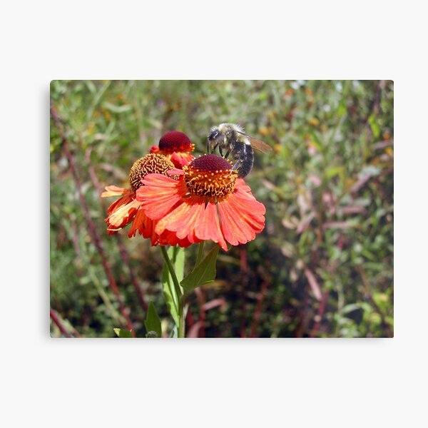 All in a Days Work Metal Print