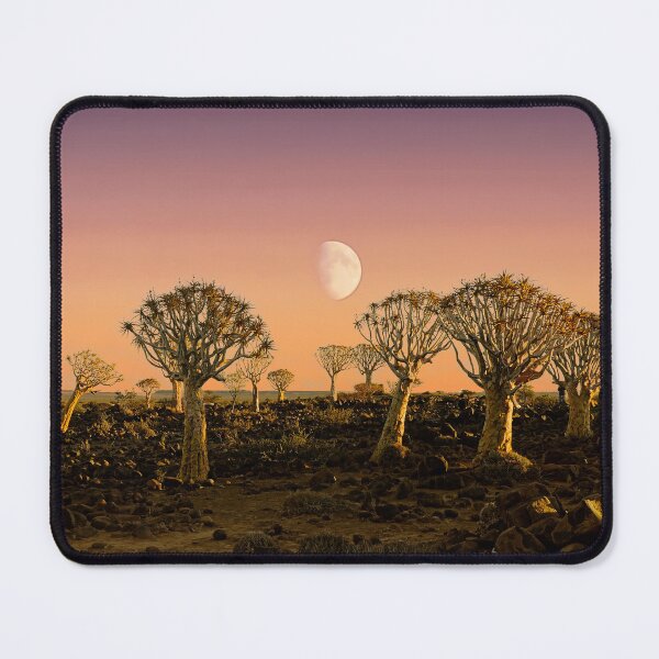 Item preview, Eerie African Quiver Trees in the Moonlight designed and sold by jaynerushton.