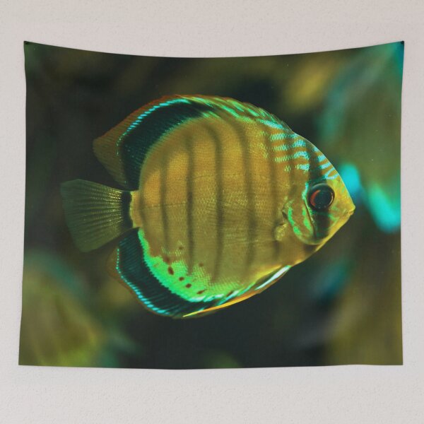 Item preview, A fish designed and sold by Dominika Aniola.