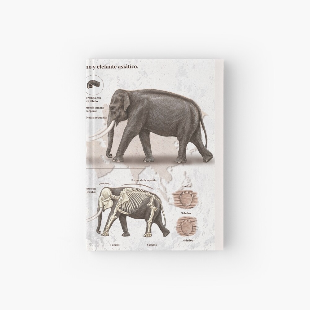  Posterazzi Deinotherium compared to a modern adult African  Elephant Poster Print, (32 x 24): Posters & Prints