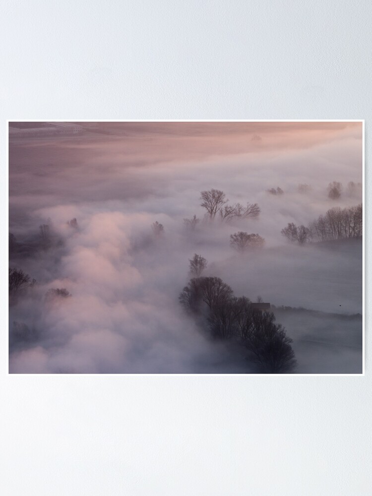 Thumbnail 2 of 3, Poster, Trees in the morning mist designed and sold by pietrofoto.