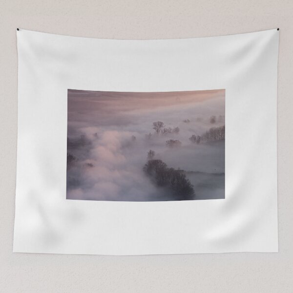 Item preview, Trees in the morning mist designed and sold by pietrofoto.