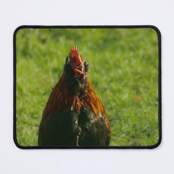 Item preview, chicken  designed and sold by Francespoppy.