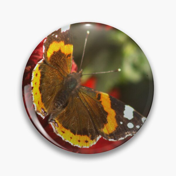Item preview, Red Admiral designed and sold by Francespoppy.