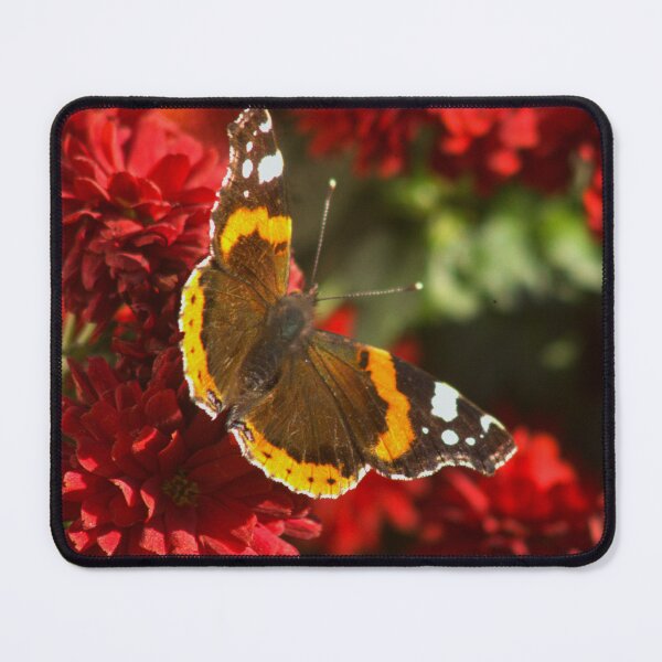 Item preview, Red Admiral designed and sold by Francespoppy.
