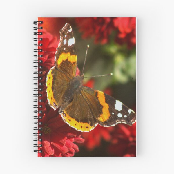 Item preview, Red Admiral designed and sold by Francespoppy.