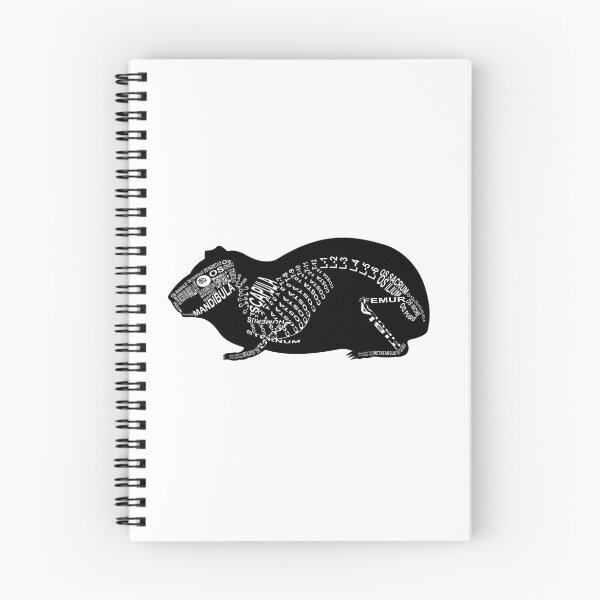 Item preview, Guinea Pig Skeleton designed and sold by WortAnatomie.