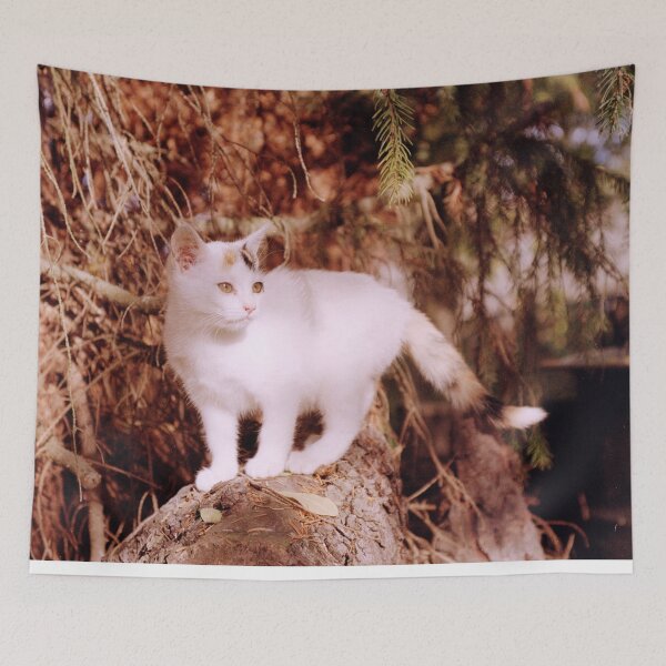 Item preview, Cat Susi on a pile of wood designed and sold by Gourmetkater.