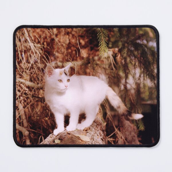Item preview, Cat Susi on a pile of wood designed and sold by Gourmetkater.