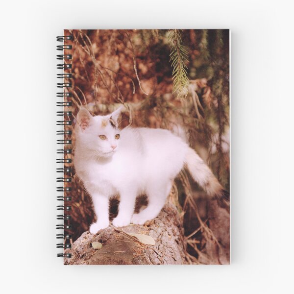 Item preview, Cat Susi on a pile of wood designed and sold by Gourmetkater.