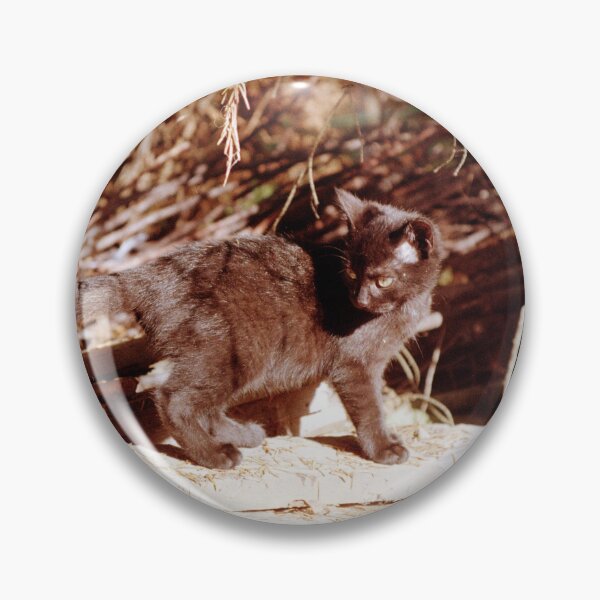 Item preview, Cat Charly on a pile of wood designed and sold by Gourmetkater.