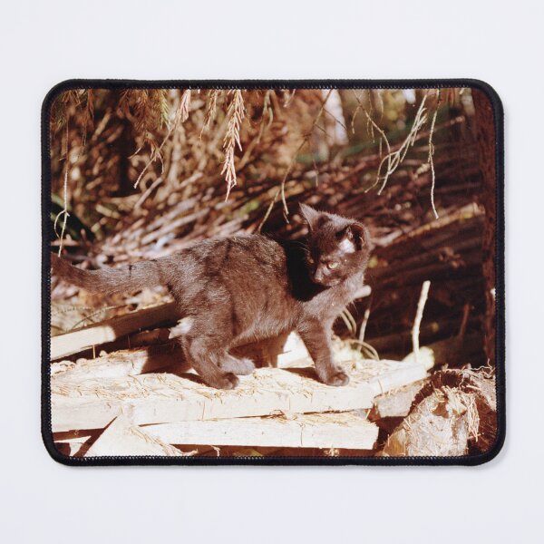 Item preview, Cat Charly on a pile of wood designed and sold by Gourmetkater.