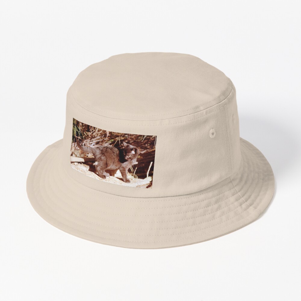 Artikel-Vorschau von Bucket Hat, designt und verkauft von Gourmetkater.