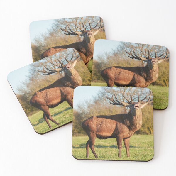 Item preview, Bellowing Red Deer Stag  designed and sold by rawshutterbug.
