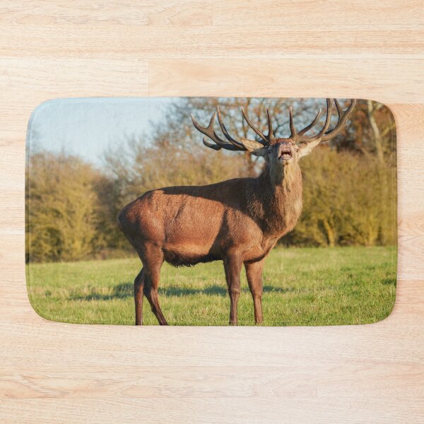 Item preview, Bellowing Red Deer Stag  designed and sold by rawshutterbug.