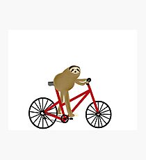 Sloth Riding A Red Bicycle Photographic Print