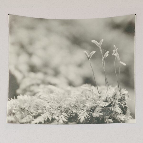 Item preview, Nature designed and sold by Dominika Aniola.