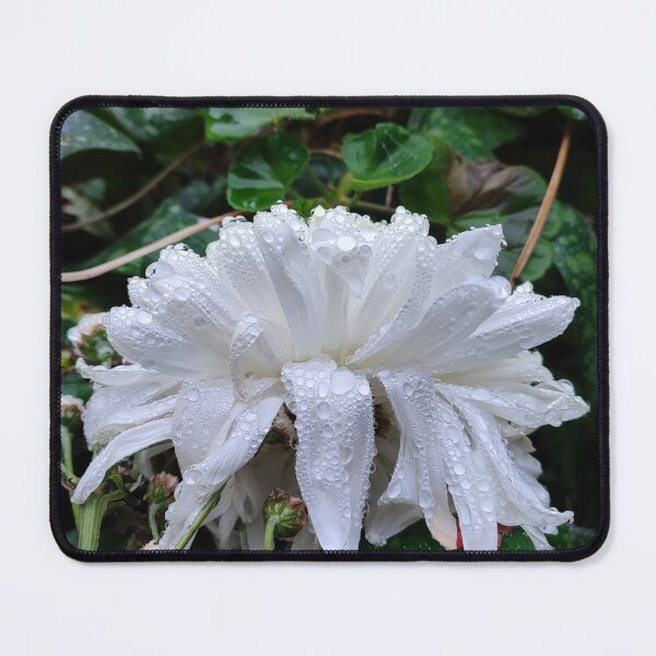 Item preview, Dahlia Dreams, Old, Wrinkly but Still Gorgeous designed and sold by JonDelorme.