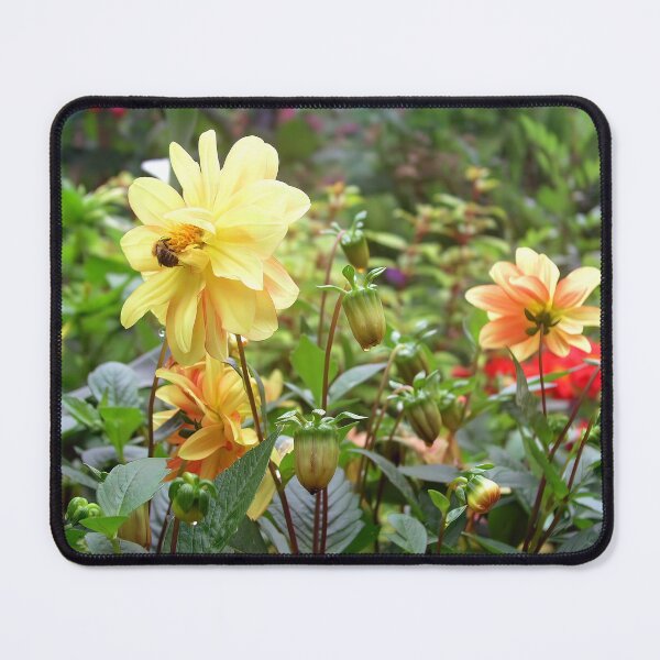 Item preview, Dahlia Days designed and sold by JonDelorme.