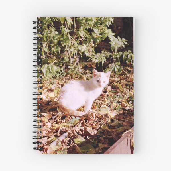 Item preview, Cat Jonny in the yellow autumn leaves designed and sold by Gourmetkater.