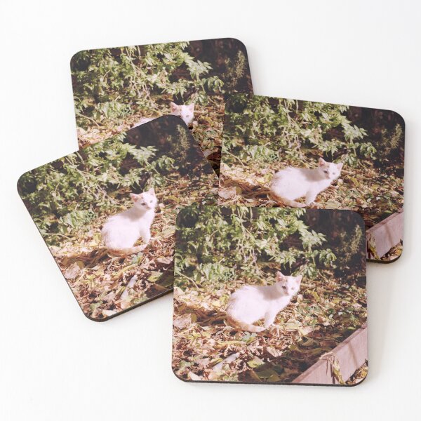 Item preview, Cat Jonny in the yellow autumn leaves designed and sold by Gourmetkater.