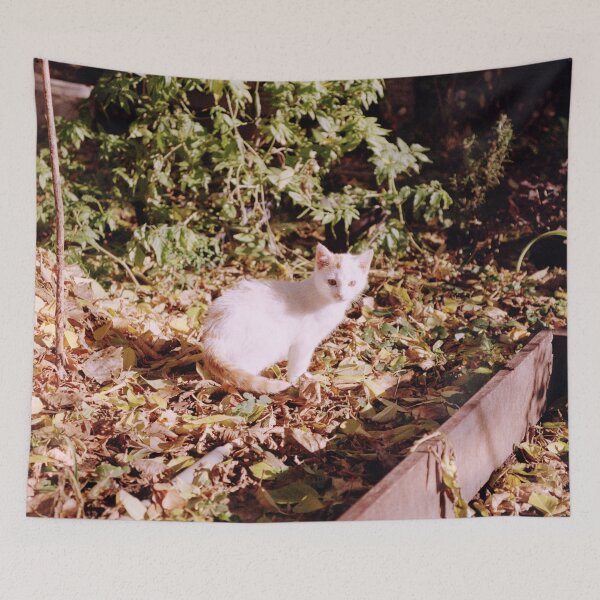 Item preview, Cat Jonny in the yellow autumn leaves designed and sold by Gourmetkater.