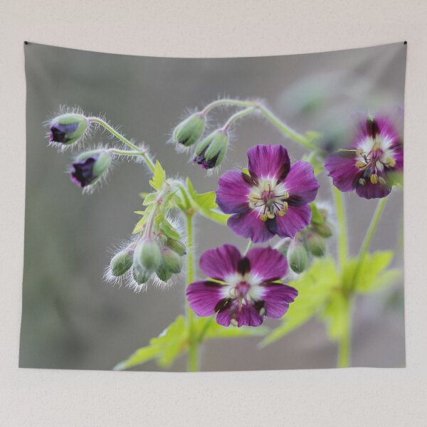 Item preview, Delicate Beauty designed and sold by cuprum.