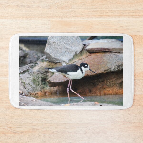 Item preview, Black-necked Stilt designed and sold by Cynthia48.