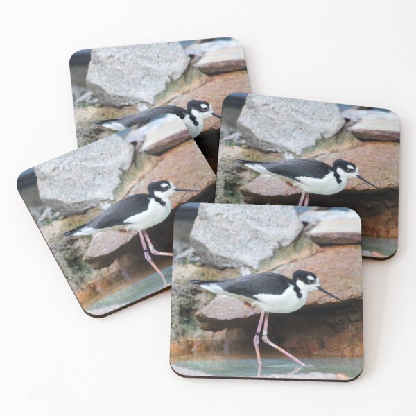 Item preview, Black-necked Stilt designed and sold by Cynthia48.