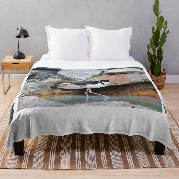 Item preview, Black-necked Stilt designed and sold by Cynthia48.