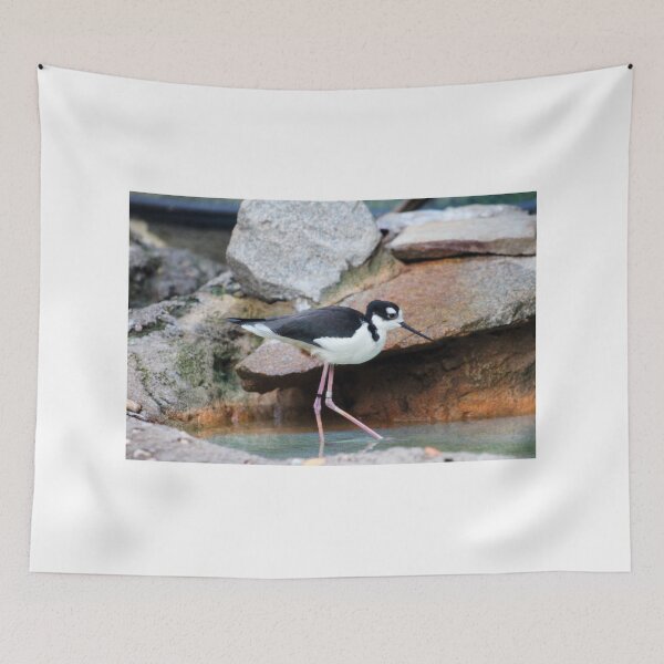 Item preview, Black-necked Stilt designed and sold by Cynthia48.