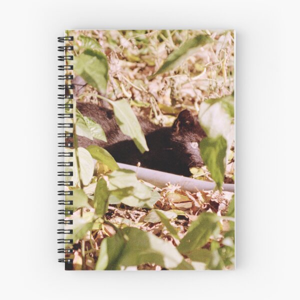 Item preview, Where is the cat Charlie? designed and sold by Gourmetkater.