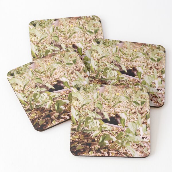 Item preview, Where is the cat Charlie? designed and sold by Gourmetkater.