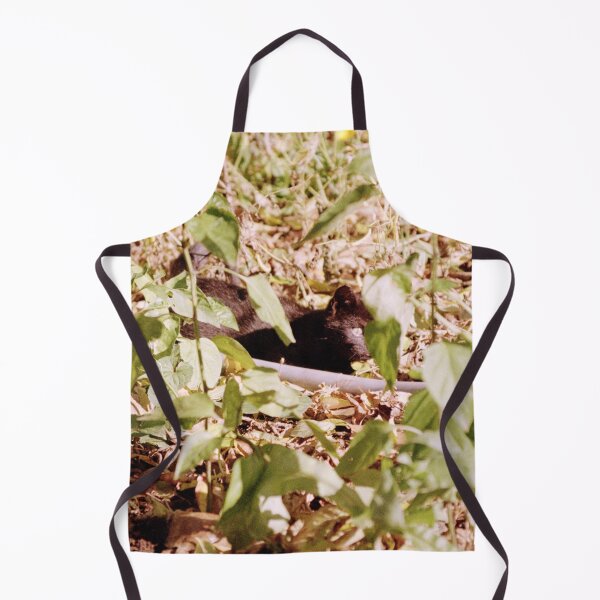 Item preview, Where is the cat Charlie? designed and sold by Gourmetkater.
