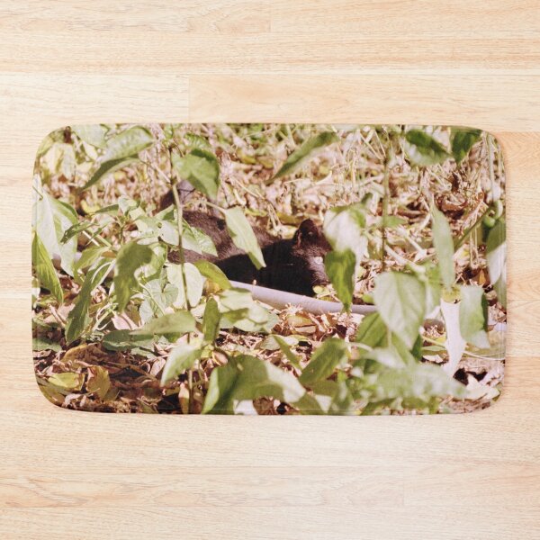 Item preview, Where is the cat Charlie? designed and sold by Gourmetkater.