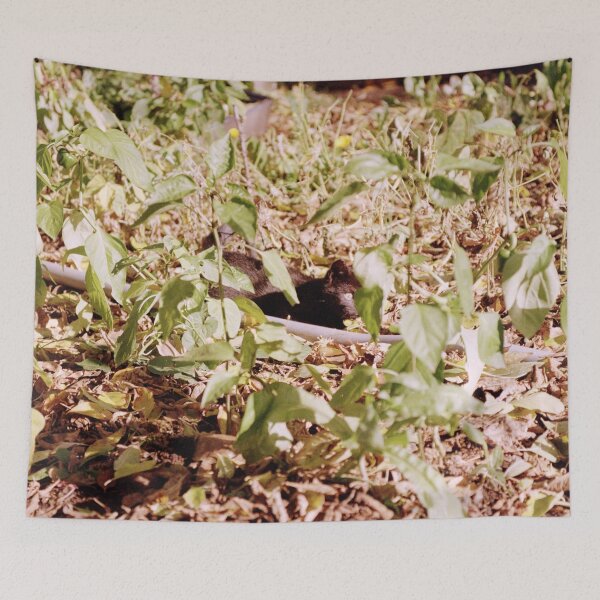 Item preview, Where is the cat Charlie? designed and sold by Gourmetkater.
