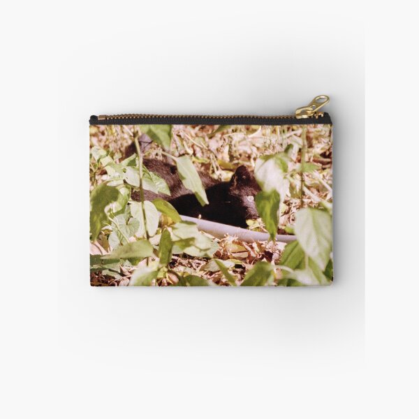 Item preview, Where is the cat Charlie? designed and sold by Gourmetkater.