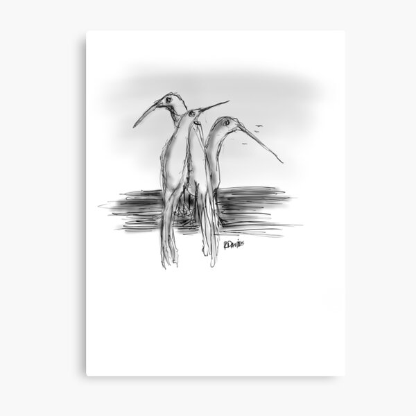 Three birds standing about Metal Print